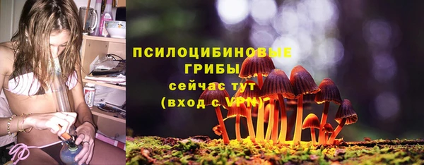 mdpv Горнозаводск